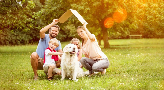 Assurance copropriété